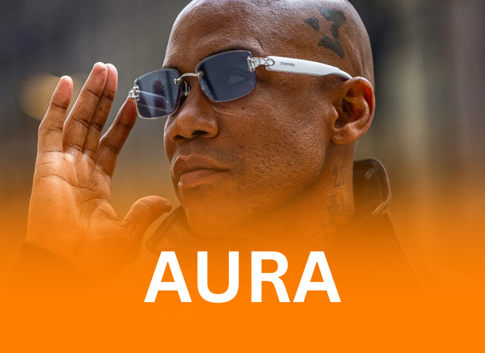 chamelo sunglasses Aura