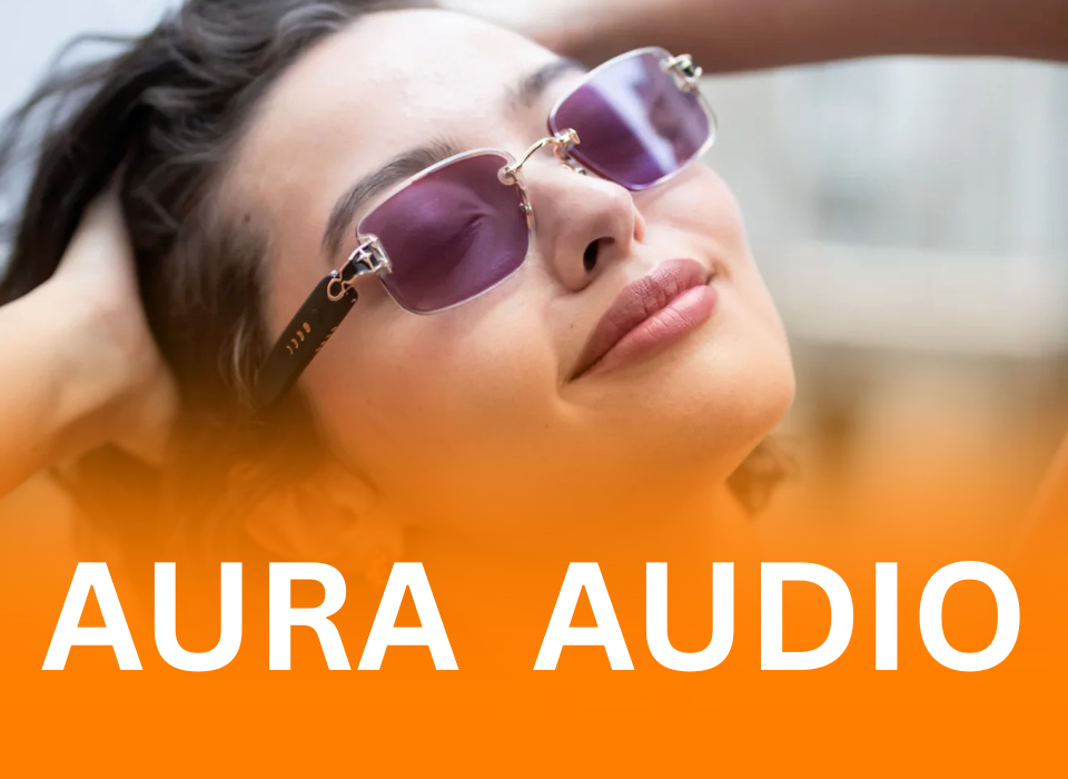 chamelo sunglasses Aura Audio