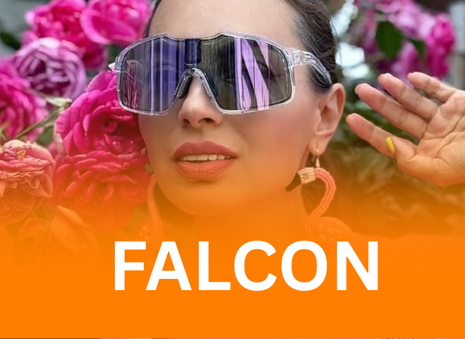 chamelo sunglasses Falcon