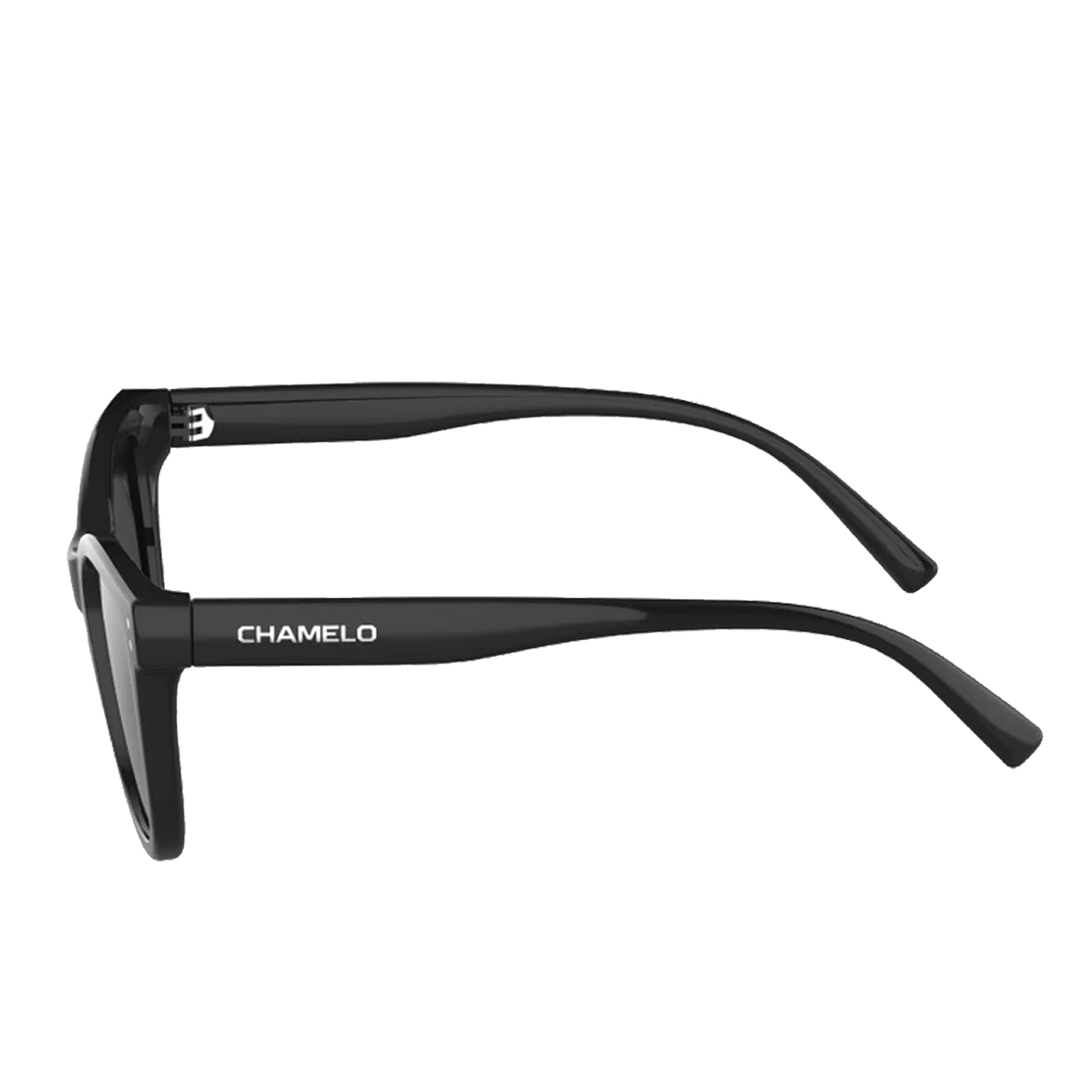 chamelo sunglasses