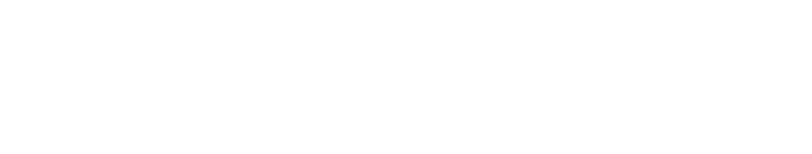 Chamelo logo
