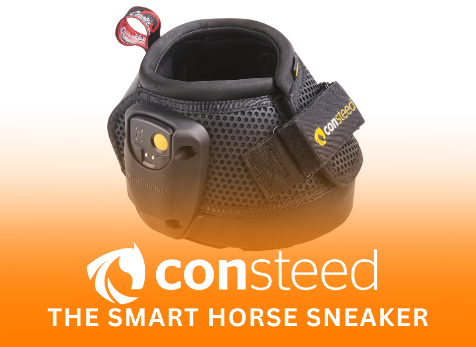 WEBSITE CONSTEED