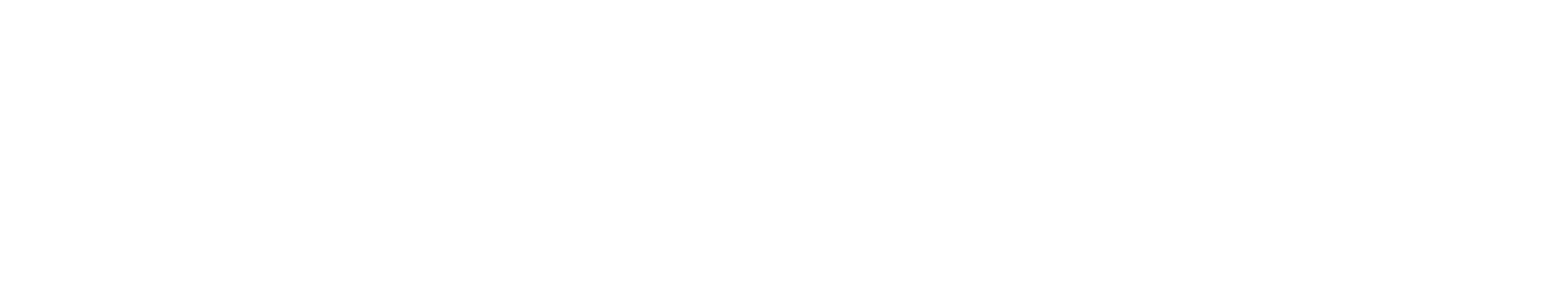 Ceecoach Logo white