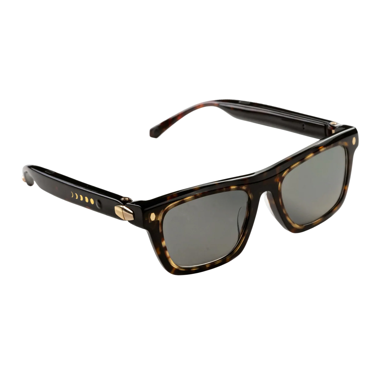 Lion City Tortoise 01 SQ