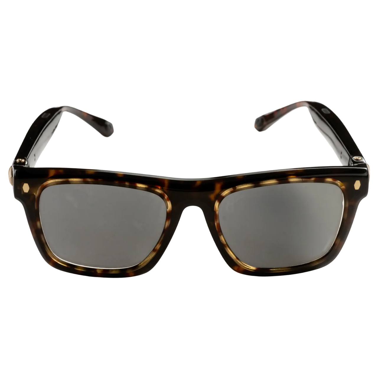 Lion City Tortoise 03 SQ