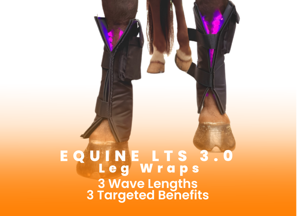 WEBSITE LTSLEGWRAPS