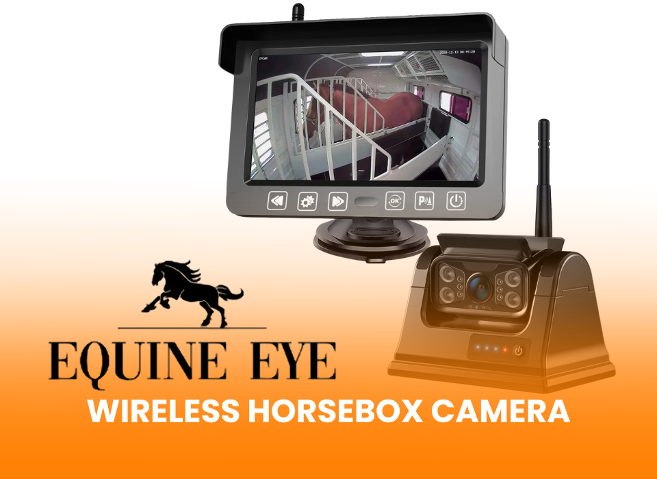WEBSITE EQUINEEYE