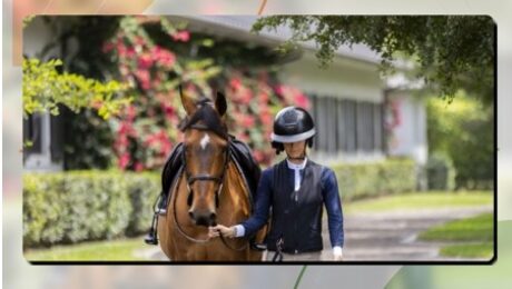 equestrian airbag vests south africa